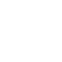 firewall icon
